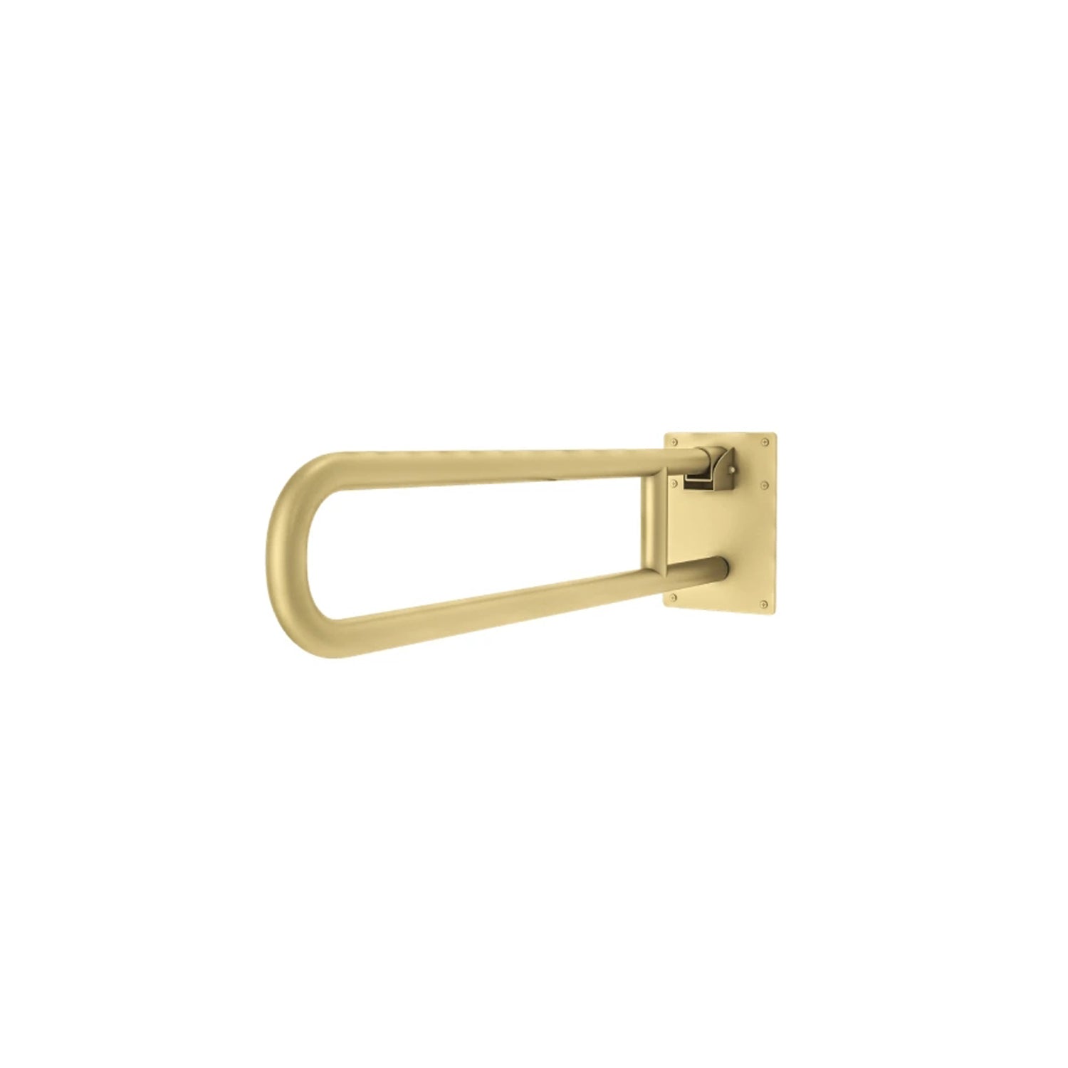 EGRS02 Swing-Type Stainless Steel Grab Bar for WC Areas